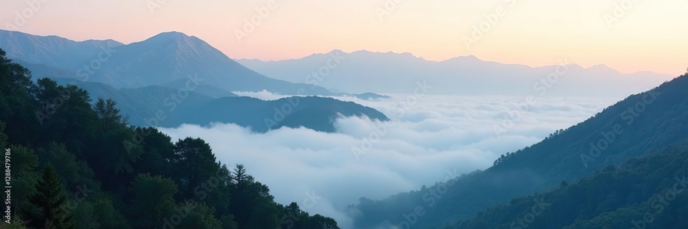 Low hanging fog veils tree tops on mountain sides, mountain, scenery Low hanging fog veils tree tops on mountain sides, mountain, scenery