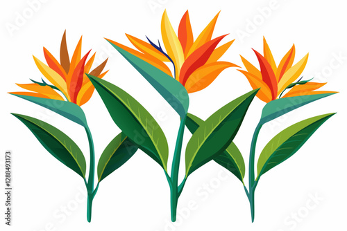 Colorful Bird of Paradise Flowers with Lush Green Leaves