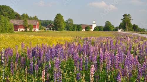 Dalsland-47