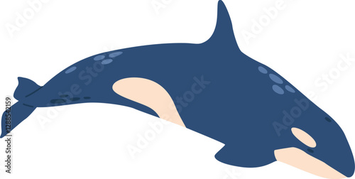 Cartoon beluga whale arctic animal