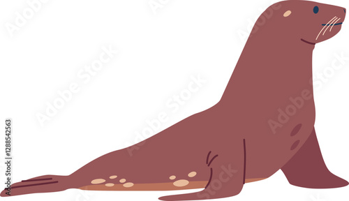 Cartoon arctic sea calf vector illustration