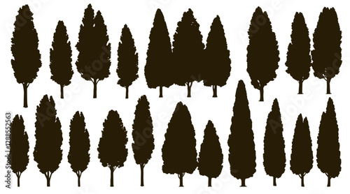 Poplar and thuja tree silhouettes create a natural green fence for landscaping. Ideal for garden borders, adding privacy and a touch of nature to outdoor designs