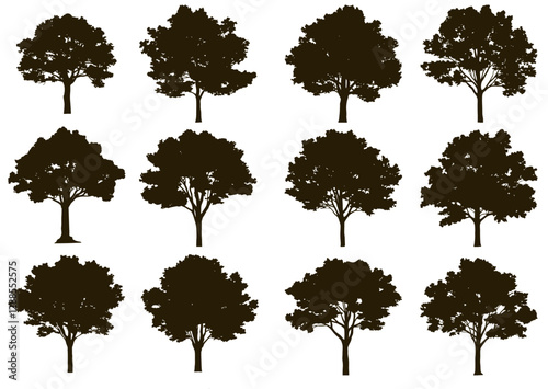 Silhouettes of deciduous oak maple or birch trees with detailed branches and unique shapes on a white background. Ideal for nature designs, landscapes, and decorative elements