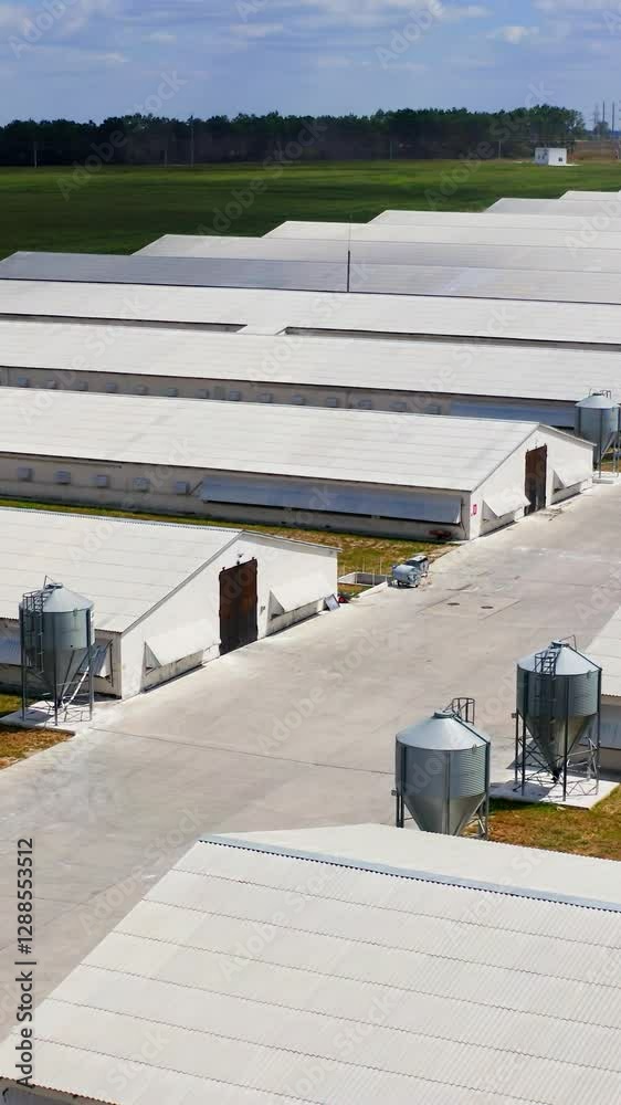Storehouses in rural area. Warehouses for poultry growing. Countryside industry. Rural place. Farming facilities. Vertical video Storehouses in rural area. Warehouses for poultry growing. Countryside industry. Rural place. Farming facilities. Vertical video