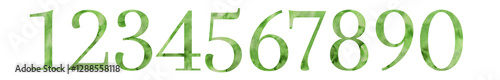 Watercolor numbers, floral illustration set,  flowers, spring garden collection. Vor wedding stationary, greetings, wallpapers,  background.