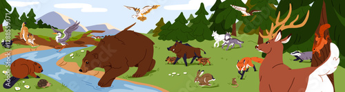Animals of pine forest go to watering hole. Woodland landscape with wild bear, deer, boar with babies, hare, fox near river. Wildlife is on on green meadow with stream. Flat vector illustration