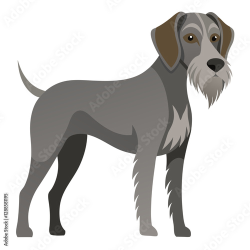 Slovakian rough haired pointer dog on transparent background