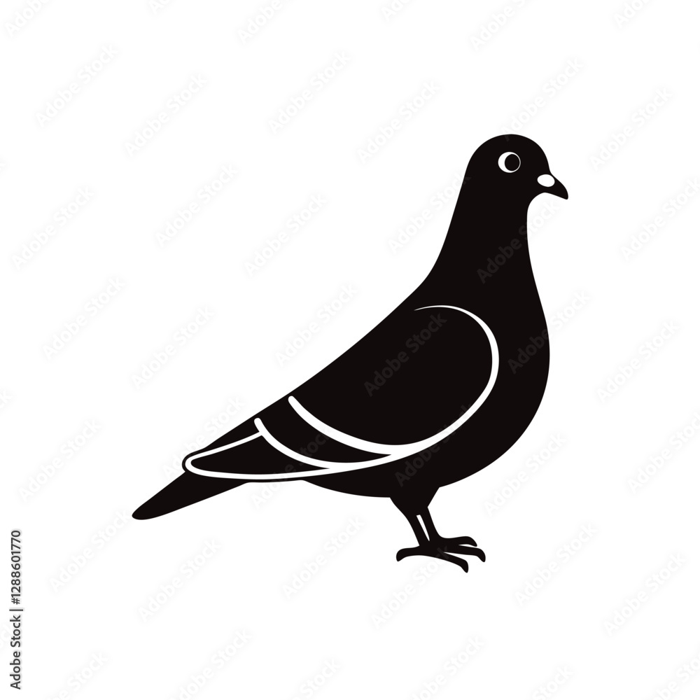 pigeon vector illustration pigeon vector illustration