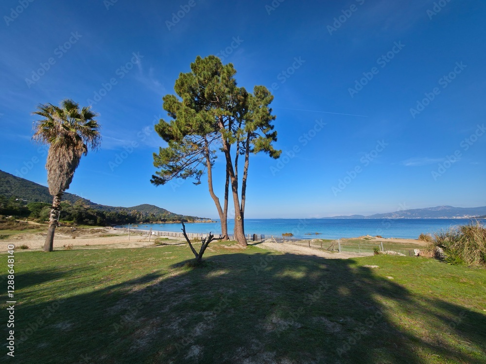 Plage de Mare e Sole, en Corse Plage de Mare e Sole, en Corse