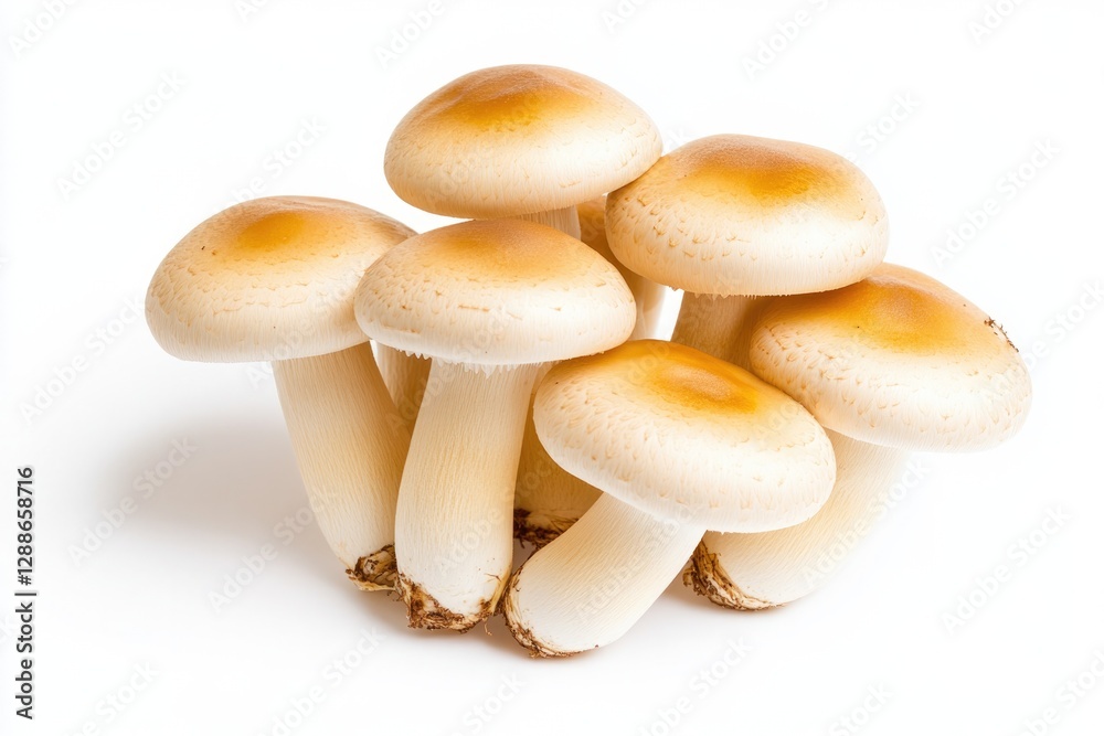 Cluster of fresh mushrooms showcasing unique shapes and soft col Cluster of fresh mushrooms showcasing unique shapes and soft col