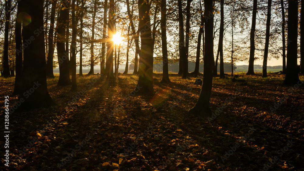 Naklejka premium calm autumn day at sunset