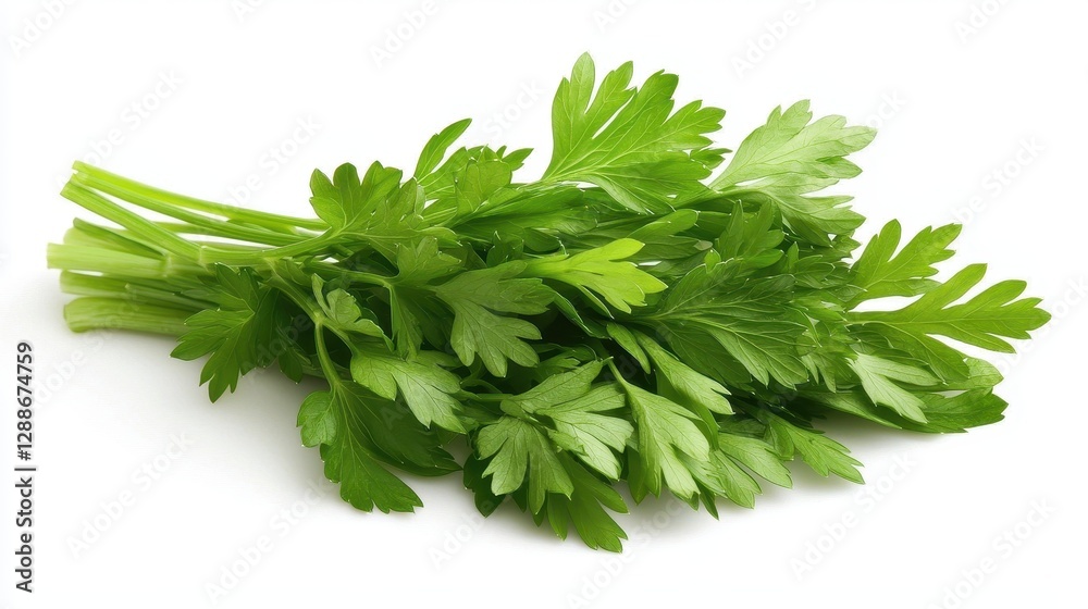 A vibrant tapestry of fresh parsley leaves, their vibrant green hues popping against a pristine white background, creating a visually appealing and isolated composition. A vibrant tapestry of fresh parsley leaves, their vibrant green hues popping against a pristine white background, creating a visually appealing and isolated composition.