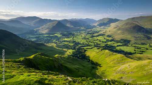 Green Valley Landscape with Rolling Hills under Bright Sunlight