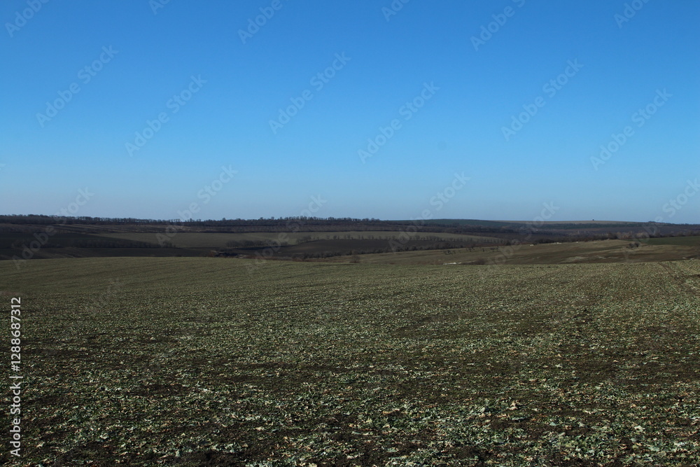 A field with a sign A field with a sign