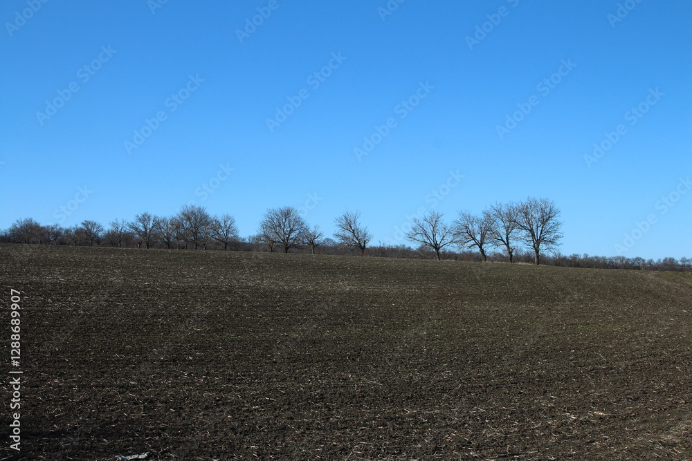 A field with a group of white signs on it A field with a group of white signs on it