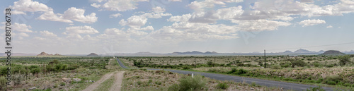 Obraz na płótnie B1 tar road in green desert countryside, near Rehoboth, Namibia w salonie