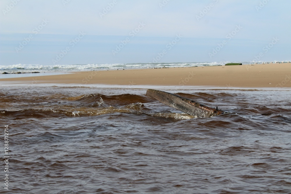 Fototapeta premium Paysage