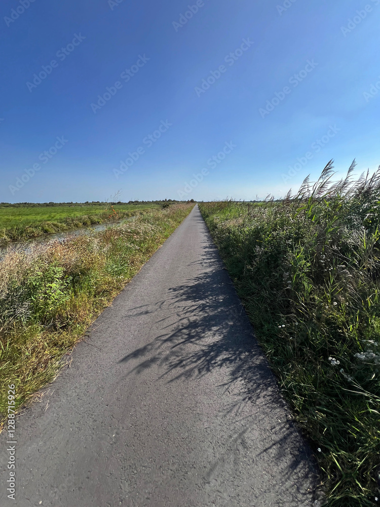 Bicycle path around De Deelen in Friesland