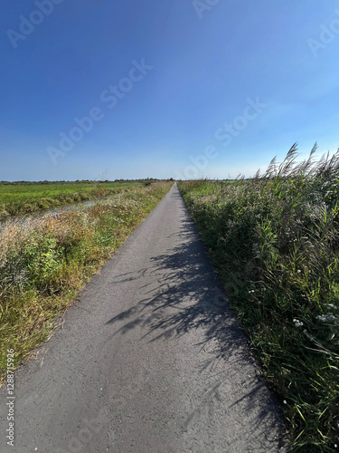 Obraz na płótnie Bicycle path around De Deelen in Friesland w salonie