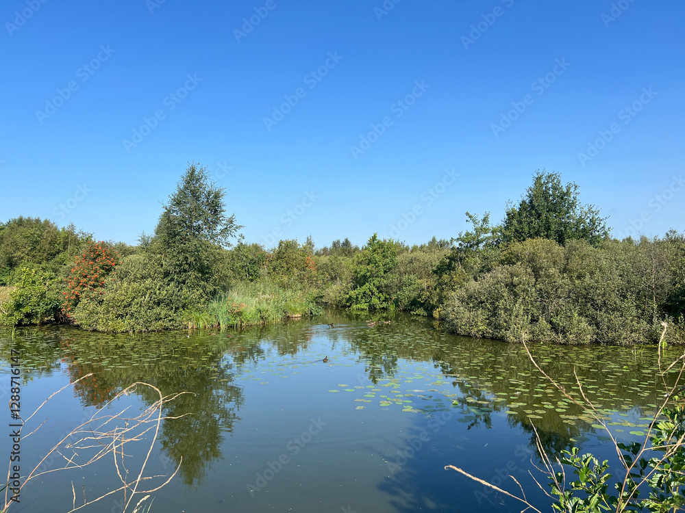 Lake around De Deelen in Friesland