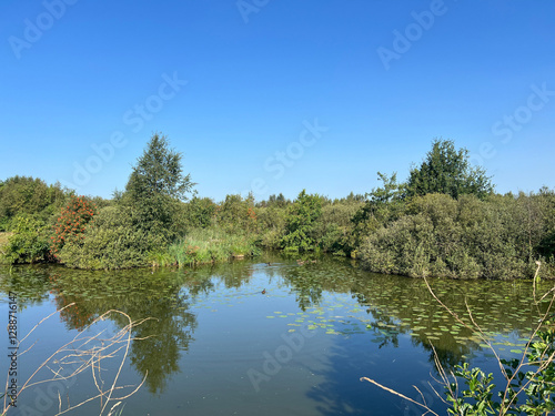 Obraz na płótnie Lake around De Deelen in Friesland w salonie