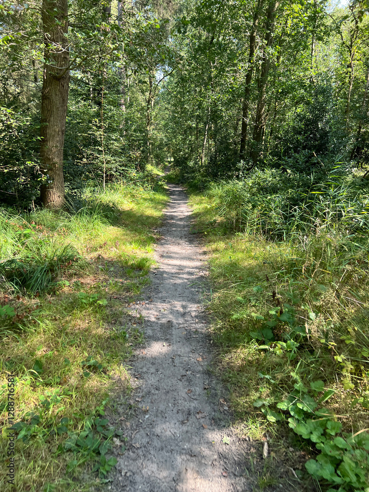 Bicycle path around Beesterzwaag