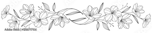 Line art floral botanical on transparent background vector. floral, flowers, leaves, foliage, branches in hand drawn. Floral element design