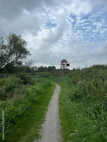 Obraz na płótnie Bicycle path around Rotstergaast w salonie