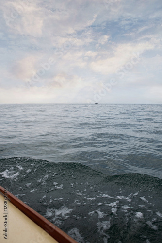 Wallpaper Mural Viewing ocean and sky from the cruise ship Torontodigital.ca