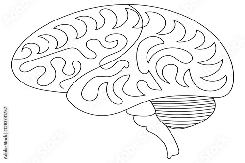 Human brain Continuous single line drawing of Vector illustration on a white background

