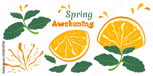 Set of brightly colored isolated elements juicy citrus and mint in flat style. Orange energizer for health, nutrition, weight loss. Spring Awakening Imprint. Orange and green color