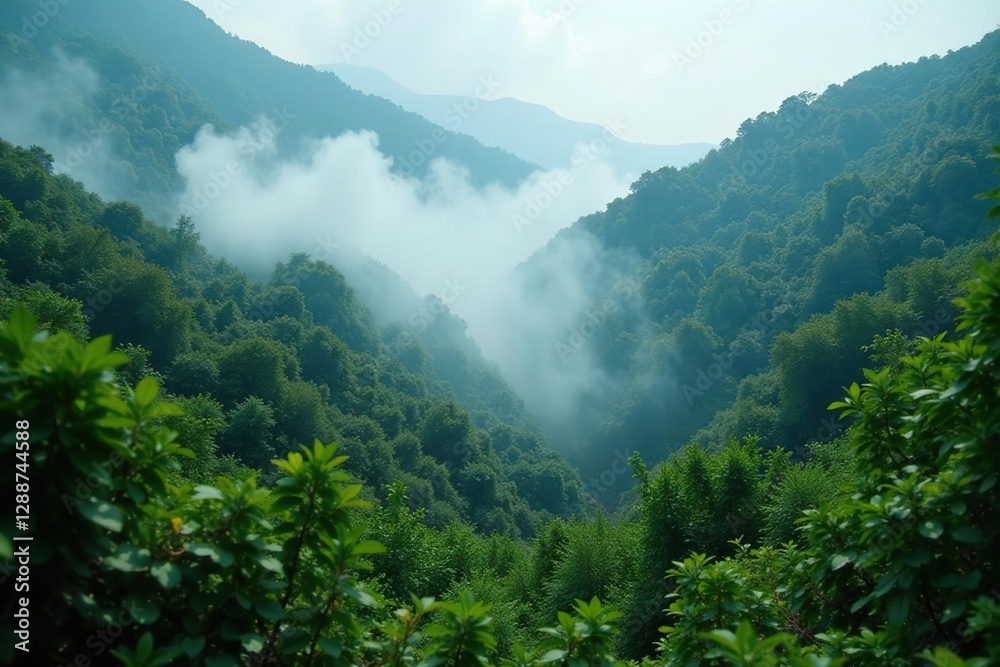 Fototapeta premium Dense foliage with smoke rising from vegetation, flora, mist