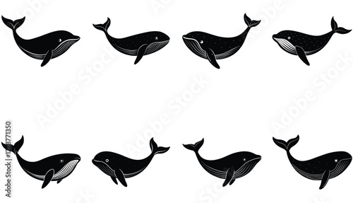 Whale icon. Whale vector shilhouette bundle. Whale set icon.