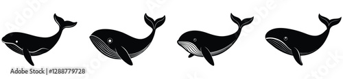 Whale icon. Whale vector shilhouette bundle. Whale set icon.