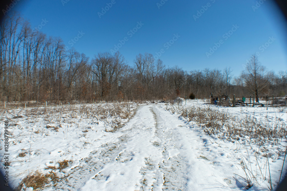 Winter Walk in the Park Winter Walk in the Park