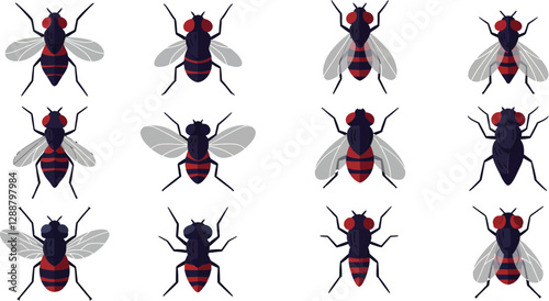 Detailed illustration of various stylized flies with distinct color patterns and positions