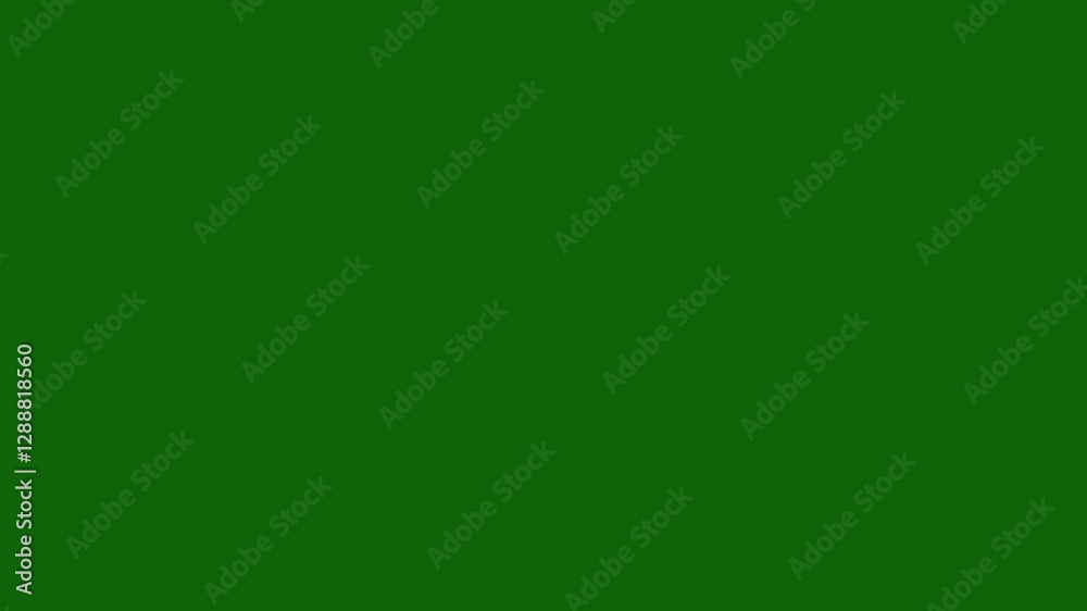 Modern Firework Explosion Circle Burst and Line Animation on Green Modern Firework Explosion Circle Burst and Line Animation on Green