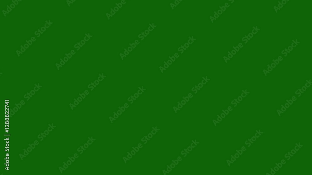 Sleek Geometric Circle Burst Animation for Explainer Videos on Green Sleek Geometric Circle Burst Animation for Explainer Videos on Green