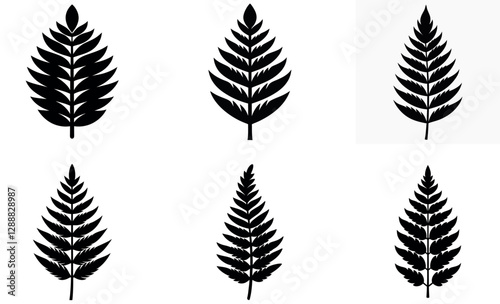 stylized fern leaf silhouettes on white background.