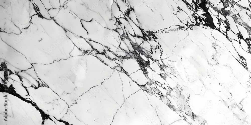 Elegant white marble background with delicate veining, perfect for branding, presentations, and sophisticated design applications. Elegant white marble background with delicate veining, perfect for branding, presentations, and sophisticated design applications.