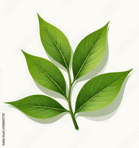 Green leaves with detailed veins artfully arranged