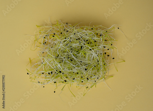 Fresh leek sprouts ready to eat