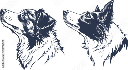 Border Collie dog silhouette, intelligent and agile companion, perfect for herding and dog lovers breed art
