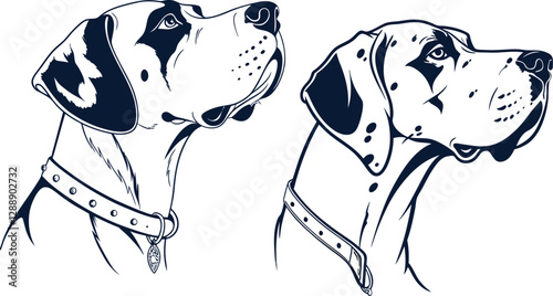 Great Dane dog silhouette, loyal giant with noble features, perfect for dog lovers, breed illustration