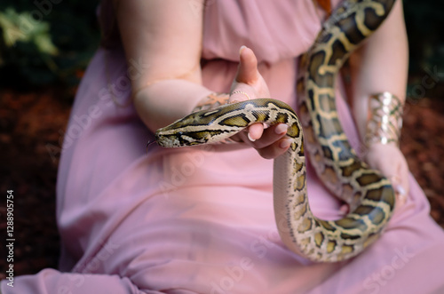 tame brown snake on pink background photo