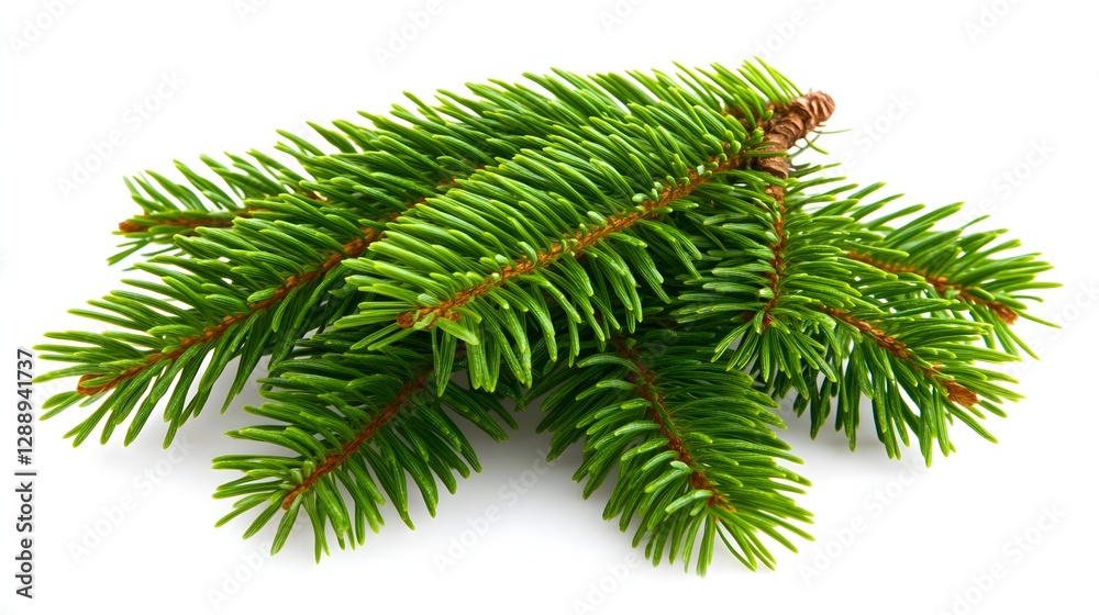 Naklejka premium Vibrant Green Pine Branches Displaying Lush Foliage and Natural Beauty in a Isolated Setting