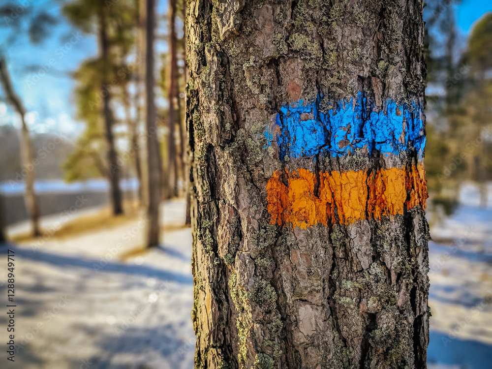 Fototapeta premium A tree trunk with blue and yellow painted trail markers in a snowy forest, leading hikers through a picturesque winter landscape. The textured bark contrasts with vibrant colors.