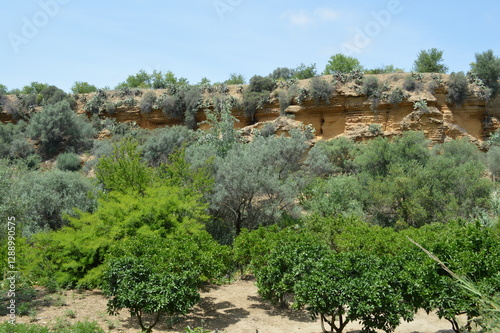 Sicilia, Agrigento il giardino della Kolymbethra
