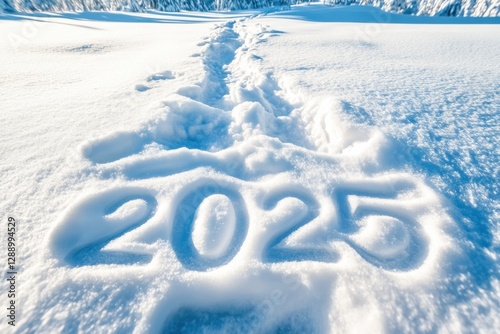 Footprints leading to the year 2025 imprinted on a snowy landscape surrounded by winter trees in bright daylight