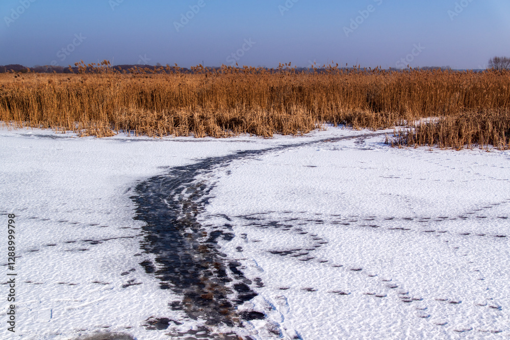 Zima w Narwiańskim Parku Narodowym, Podlasie, Polska